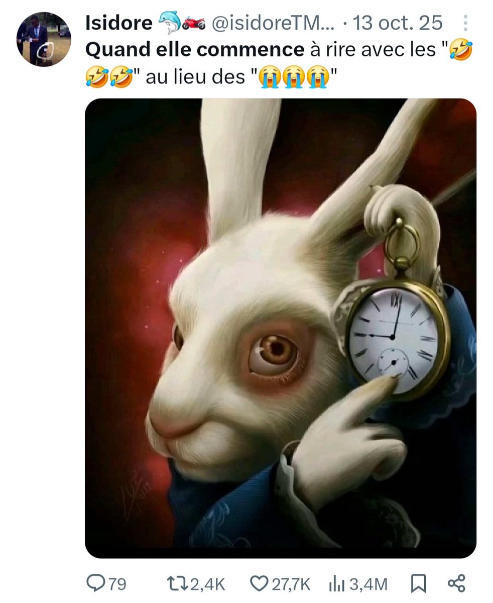 Isidore 🐬🏍 tweet media