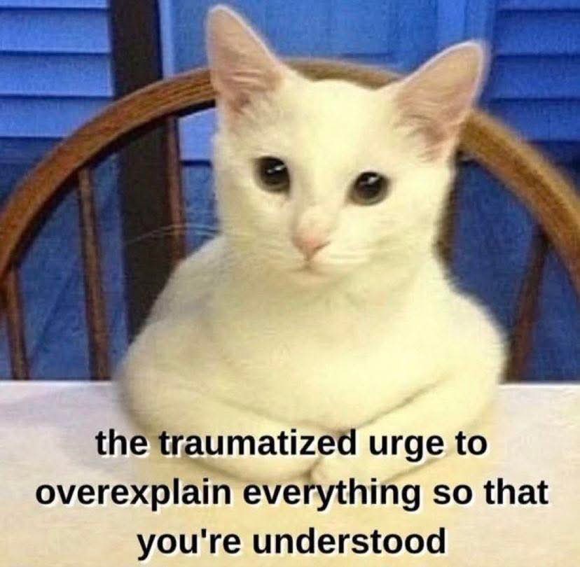 No Nonsense Neurodivergent tweet media