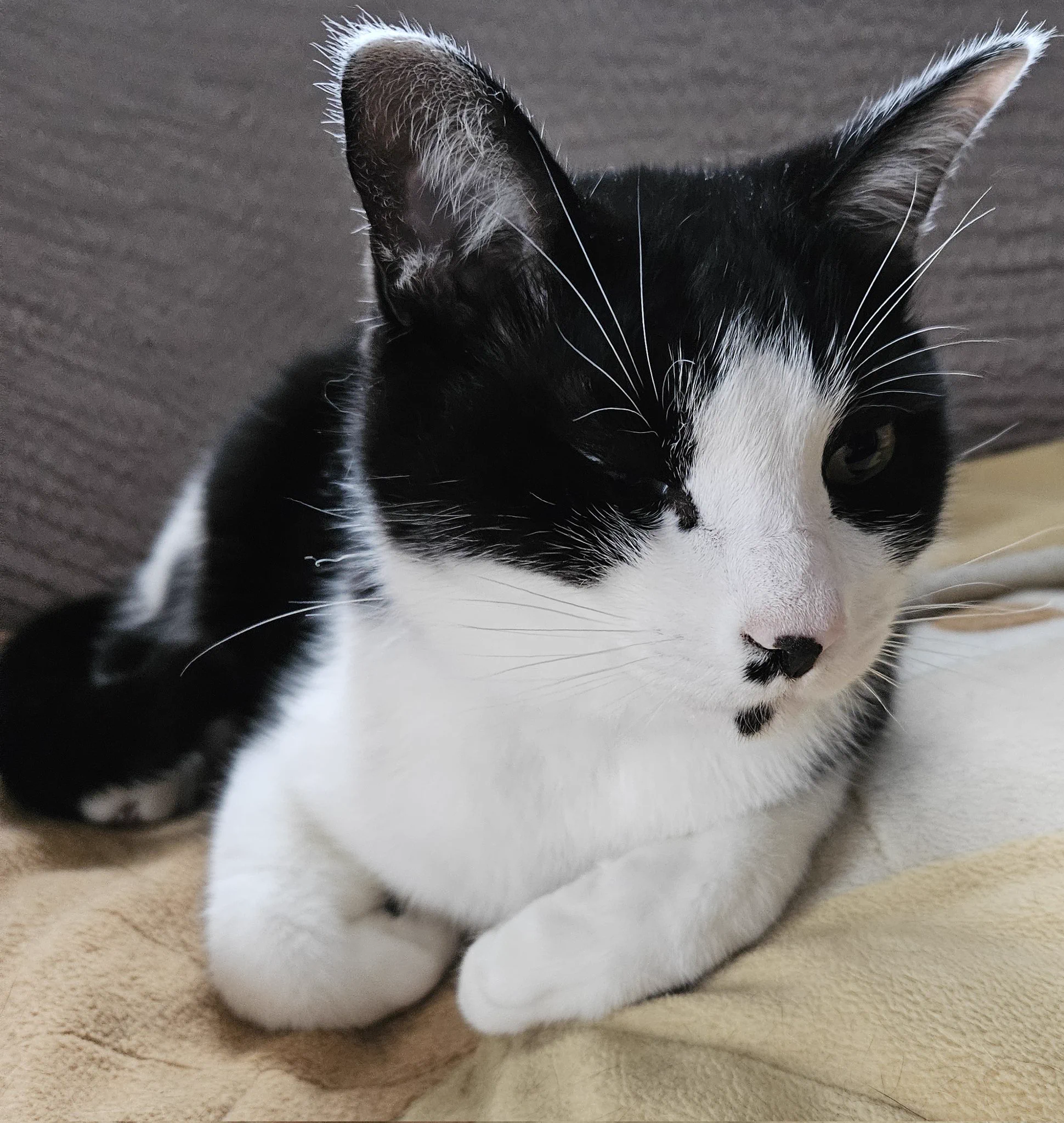 松本ひで吉 on X: 