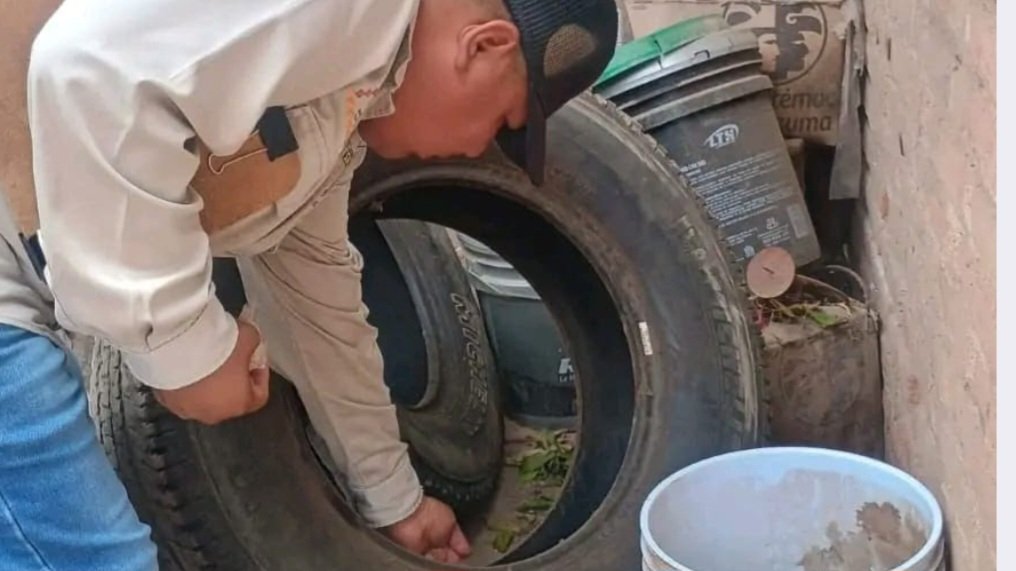 Acciones simples ayudan a prevenir #rickettsiosis y #dengue: SSP.
Importante revisar periódicamente a mascotas, retirar objetos en desuso y deshiervar, recomiendan.
sonoralifemagazine.com/salud/48506
#Hermosillo #Sonora #México #SonoraLife