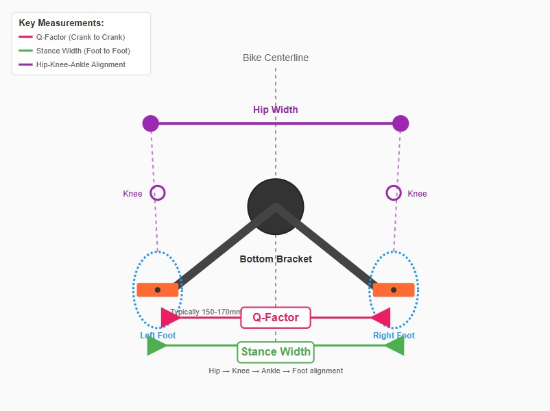 ROTHE Training tweet media