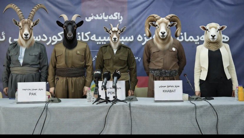 هر لایک شما گیری بر دهان تجزیه‌طلبان است.