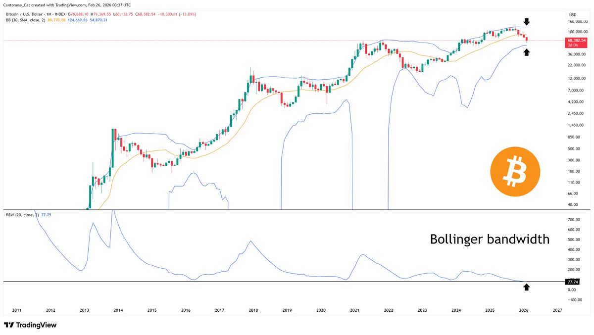 Cantonese Cat 🐱🐈 tweet media