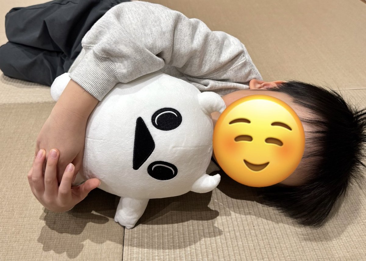 【クラファンでぬいぐるみに挑戦】

もーもはオバケなのに、とってもこわがり。
だからこそ「夜がちょっと怖い」子どもの心に
一番近くで寄り添えると思ってる。

息子はよく言う。
「もーもは僕とおんなじだね！」

このぬいぐるみで、親子の優しい時間にできたら嬉しい👻￼