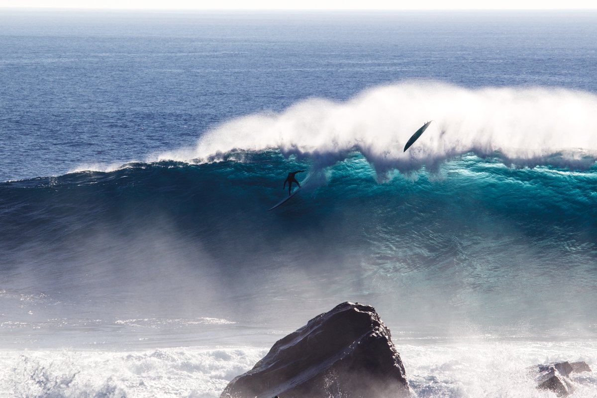 The Surfer's Journal tweet media