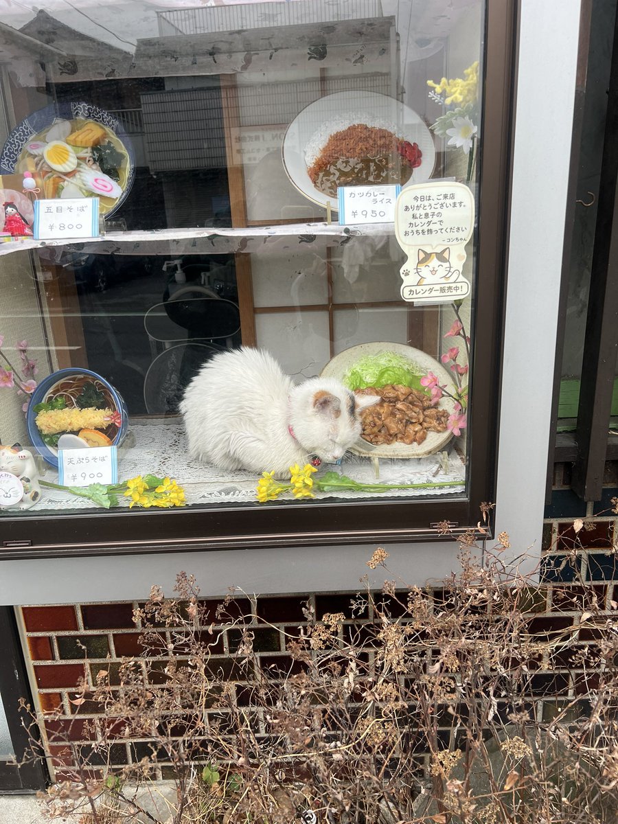 そば処大むら ペタコンちゃんねる (@oomurapetakon) / Posts / X