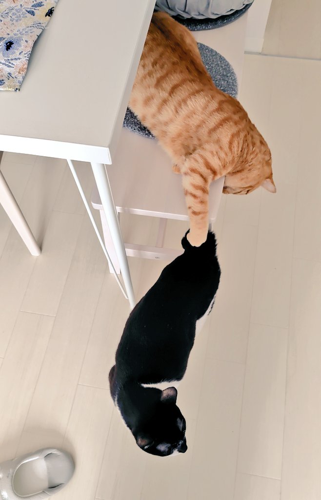 福嶋ユッカ tweet media