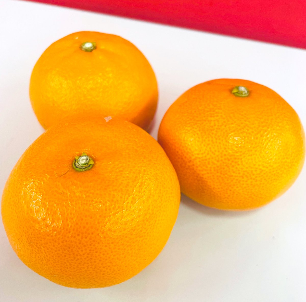 zip_brunch's tweet image. 🍊👩‍🌾🌳セントライグループ 
　　　GOOD HARVEST👨‍🌾 🌳🍊

今週は抽選で5名様に
「愛媛県産の「せとか」1kg入り 1ケース」をプレゼント🎁

ご応募はこちらから⤵︎
zip-fm.co.jp/entries/b30ec3…

#zipfm
#ぶらすた