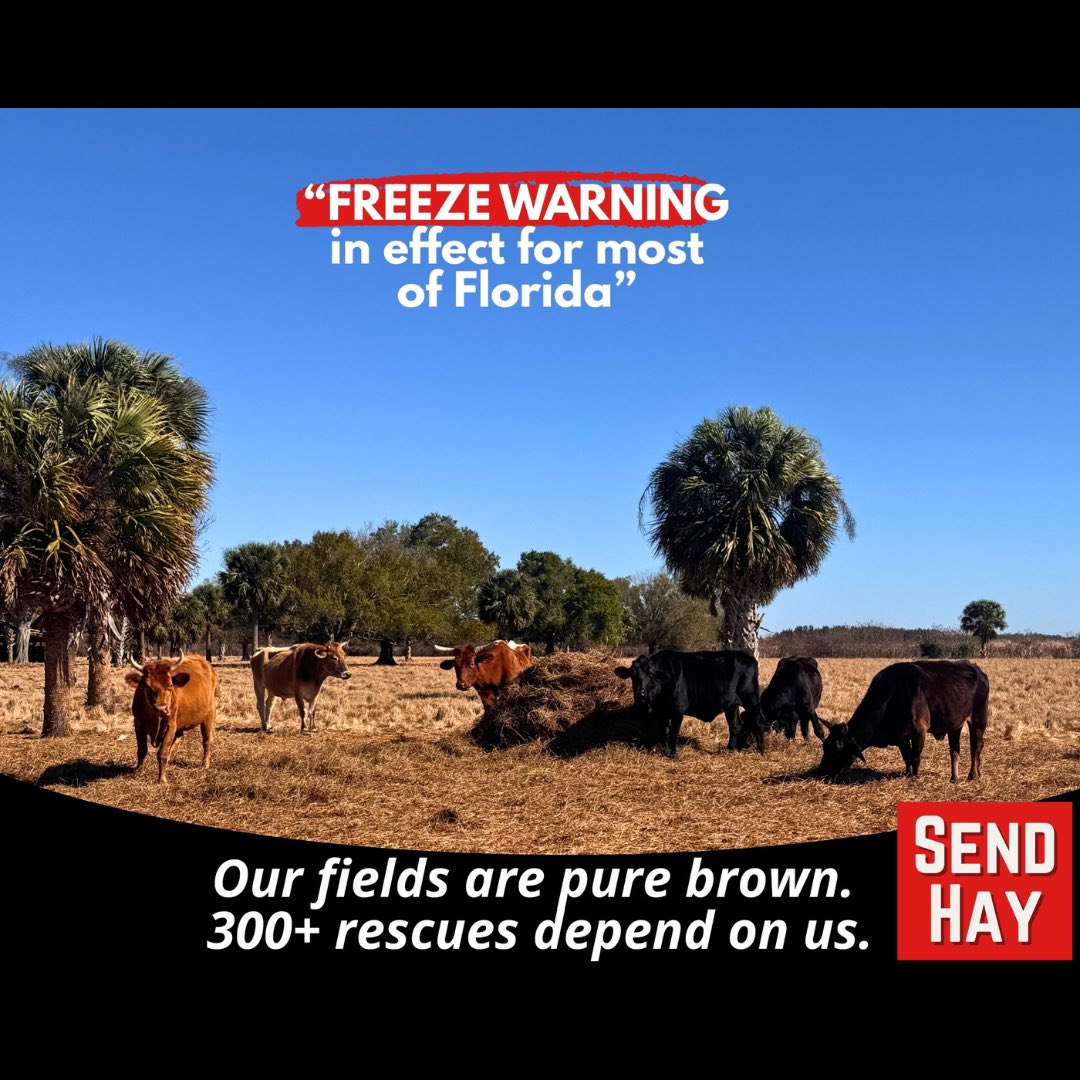 ARM Investigations tweet media