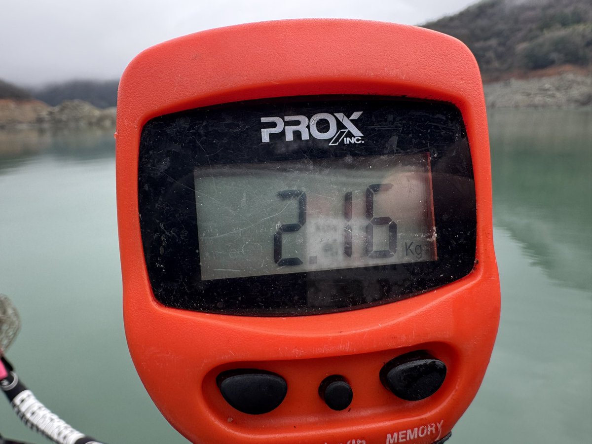 エリー115SDアカサカ釣具オリカラのミラージュレイカー！ 次はいつ発売