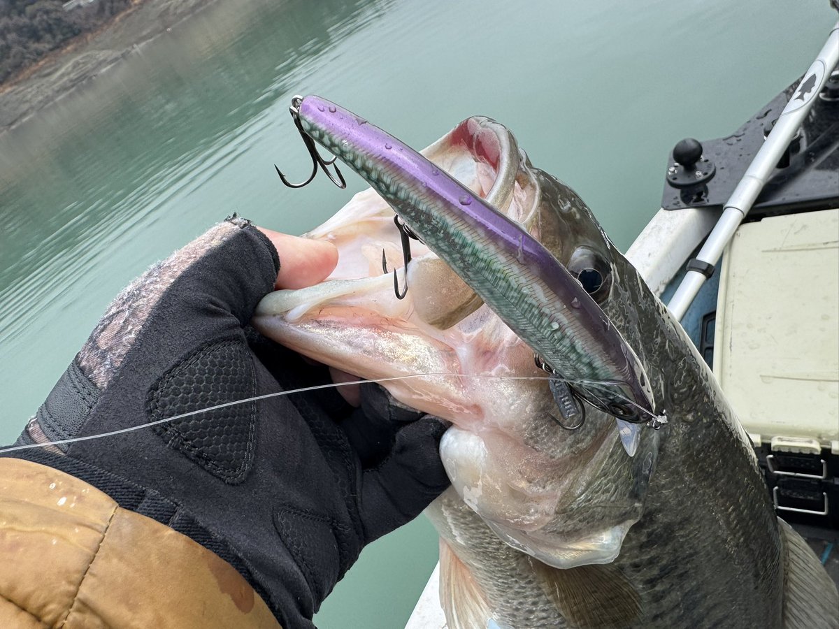 エリー115SDアカサカ釣具オリカラのミラージュレイカー！ 次はいつ発売