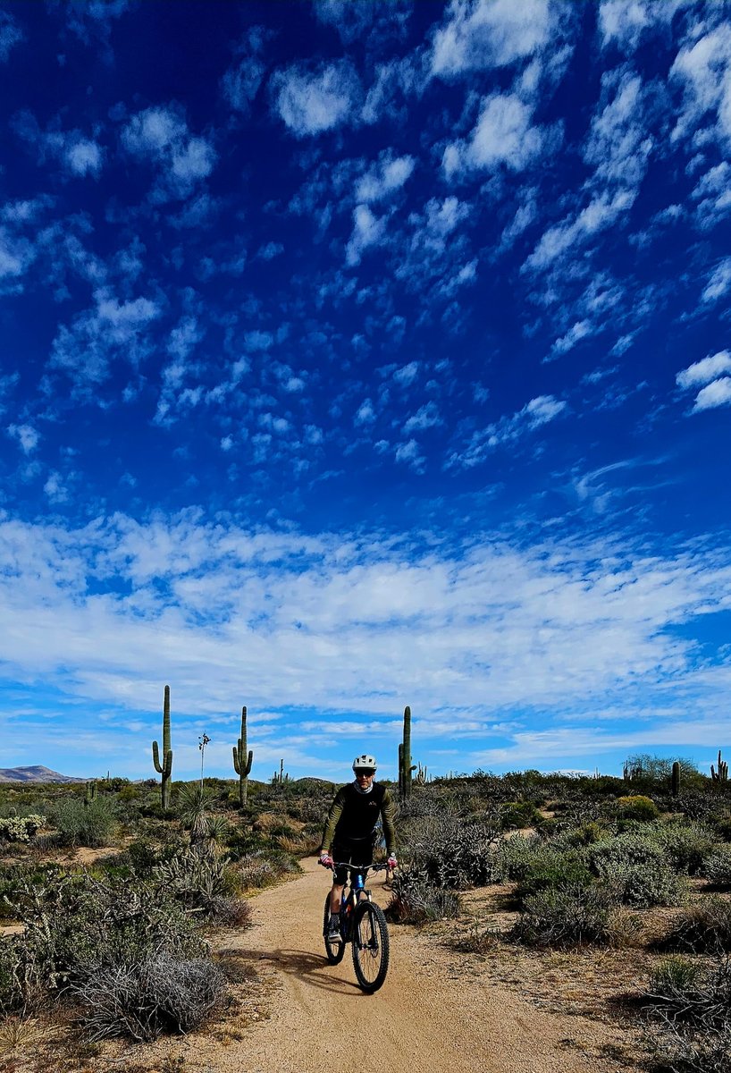 Adam Banton tweet media