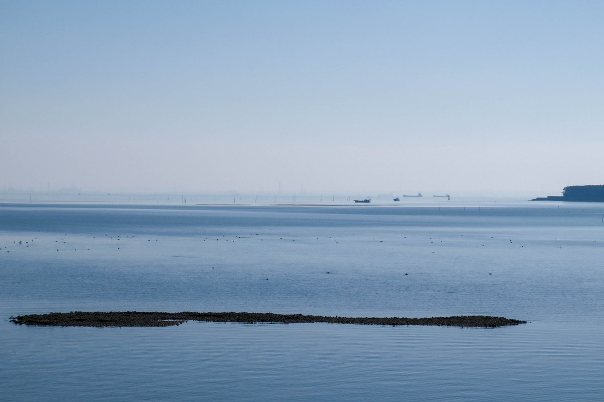 市川の海 #XE5 #fujifilmXE5 #XF1855 #fujifilm_xseries #fujifilm