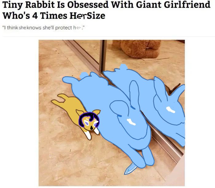 toomanysapphys's tweet image. Bunnybunnybunnybunnybunny #seamoon #seafairycookie #moonlightcookie