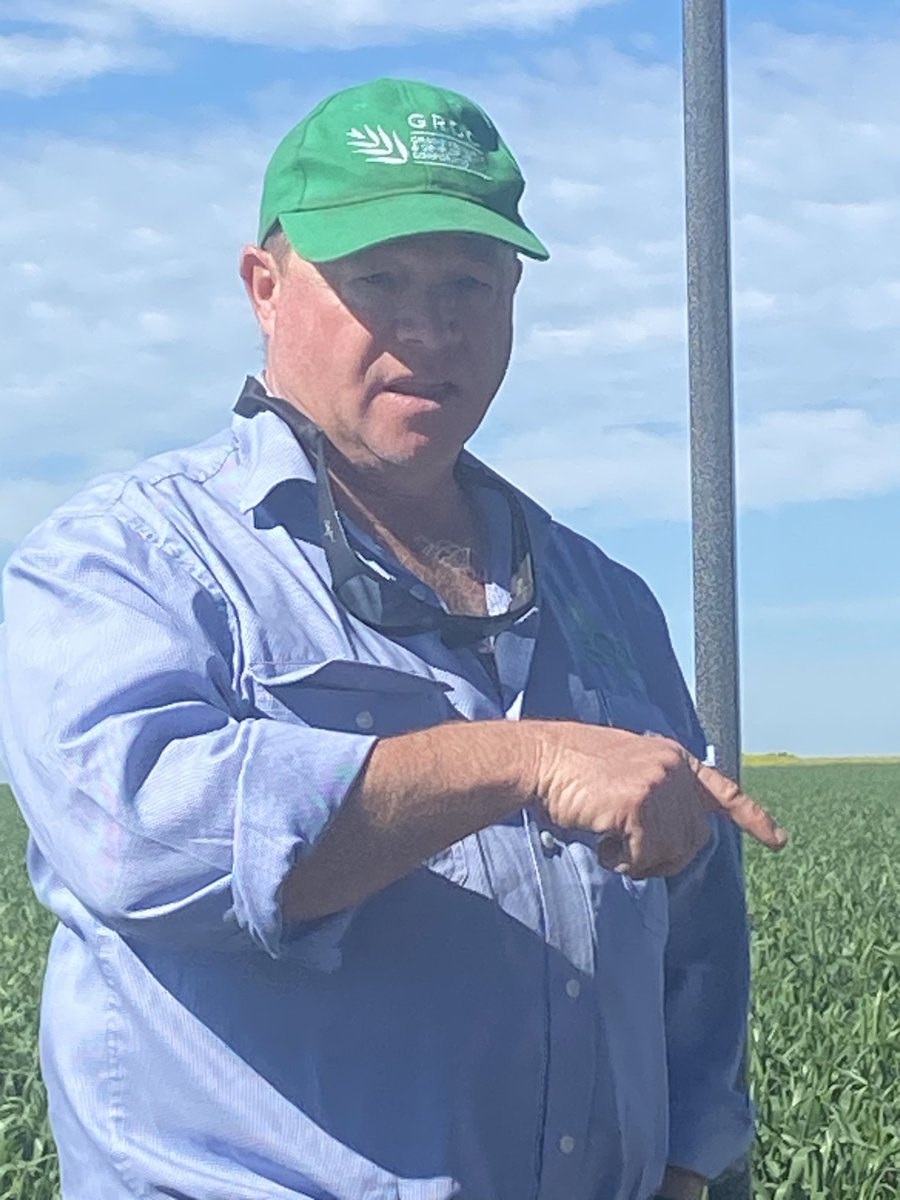 GrainOrana's tweet photo. GOA’s Maurie Street presenting at the Dubbo #grdcUpdates re local work on the #RiskWi$e project:
❓Should you be dropping N rates in an uncertain year❓
🧐Doing nothing with N ⬇️ yields & is the most uncertain option economically.
@GRDCNorth @theGRDC @MaurieStreet @JohnCameronICAN @CSIRO
