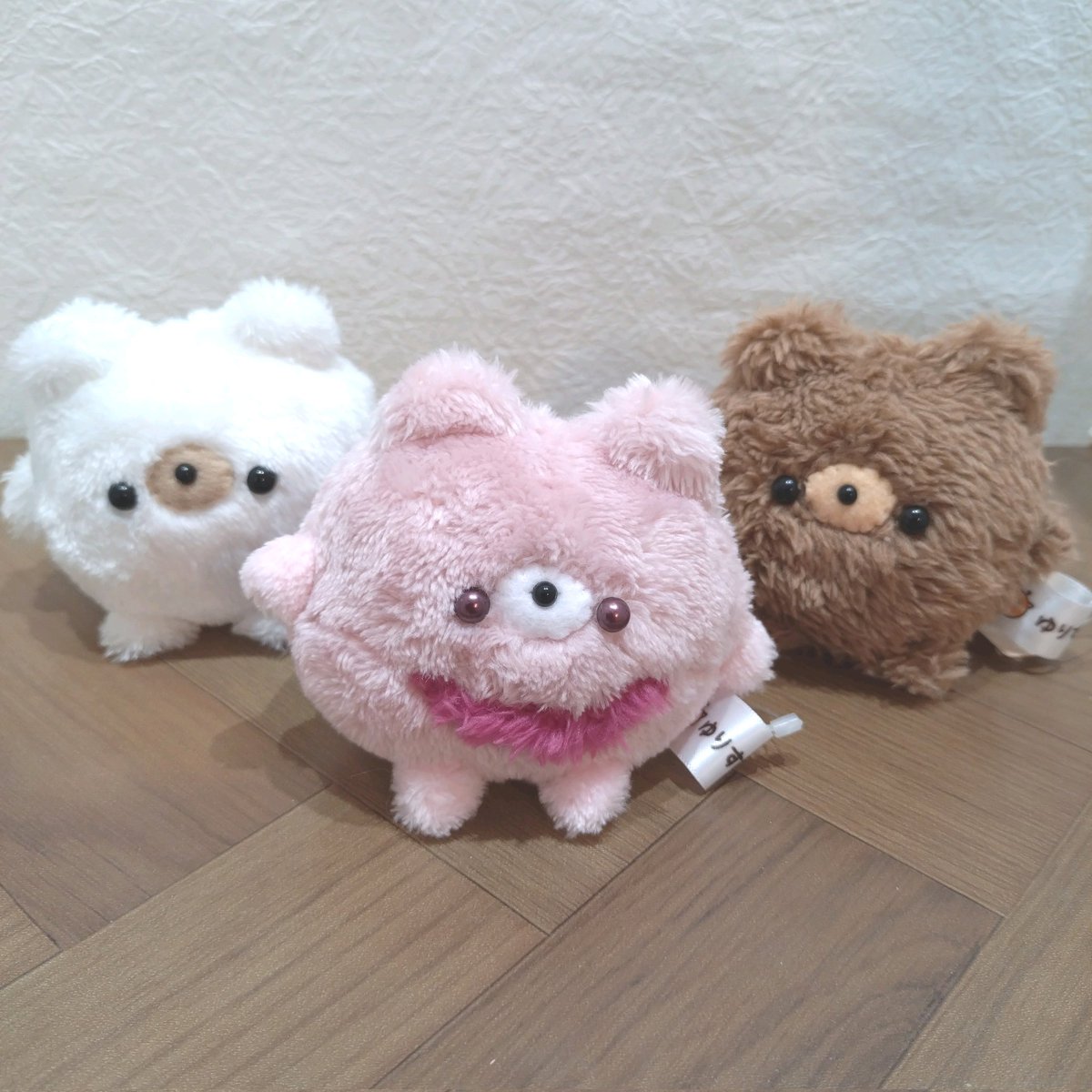 きゅるるん成分供給中 まるあにまるの中でも きゅるきゅる甘めの子達