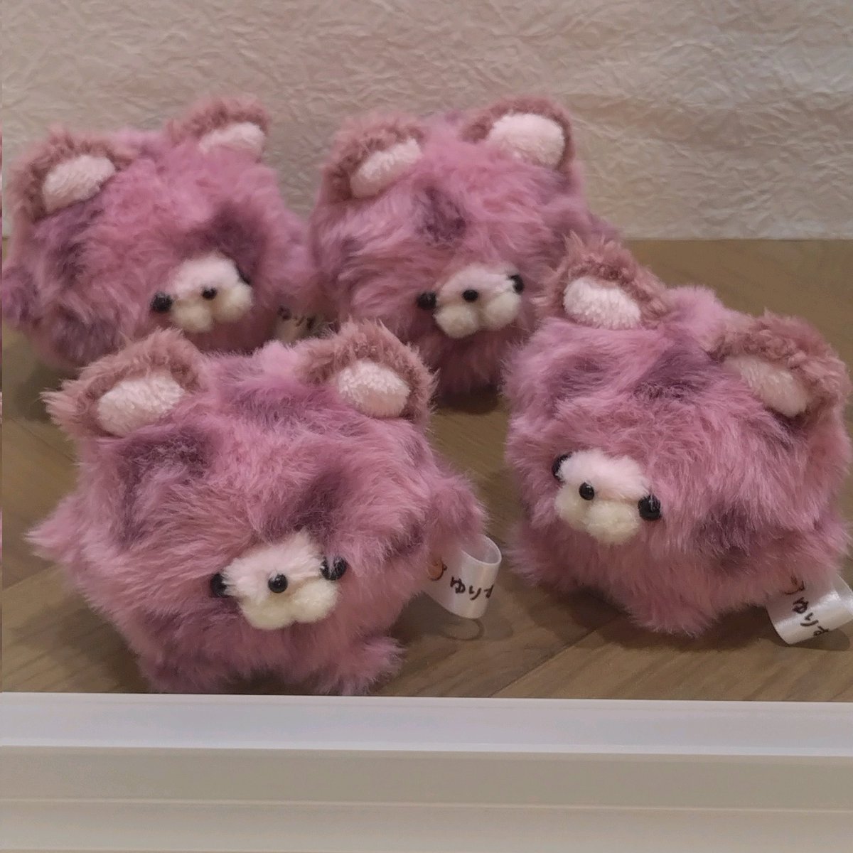 きゅるるん成分供給中 まるあにまるの中でも きゅるきゅる甘めの子達