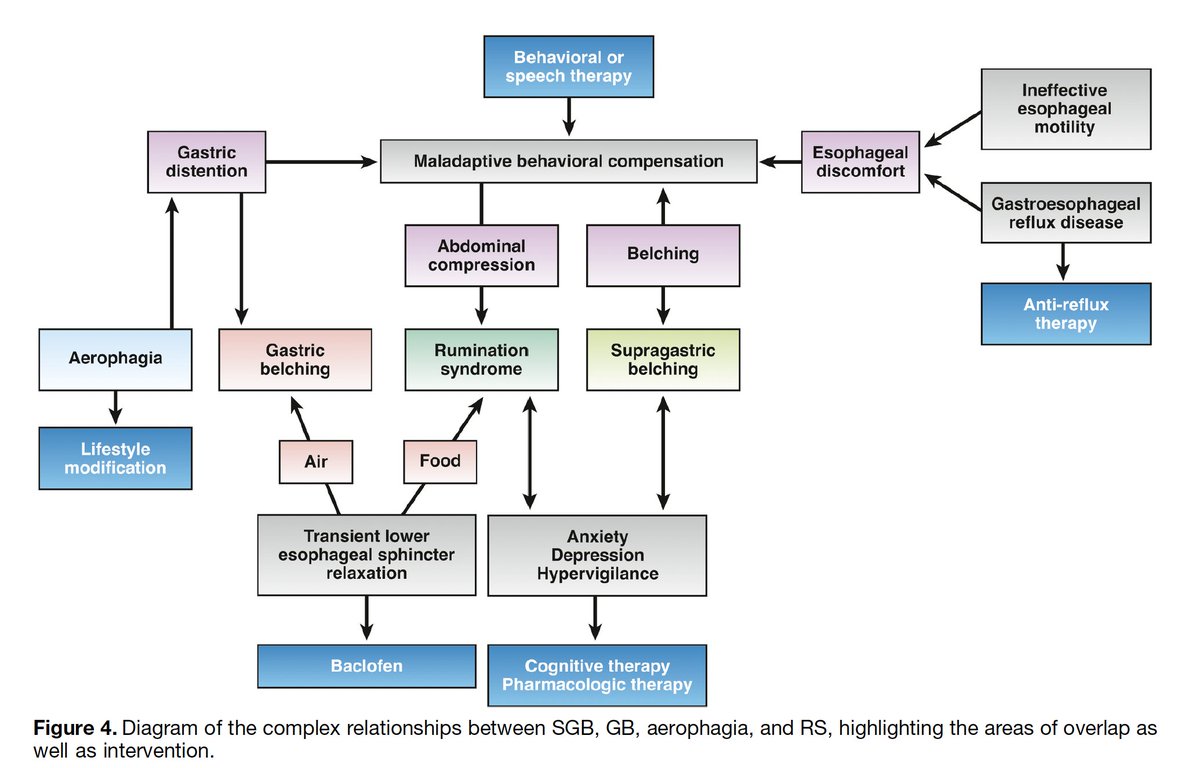 Daniel Calle Rodas tweet media
