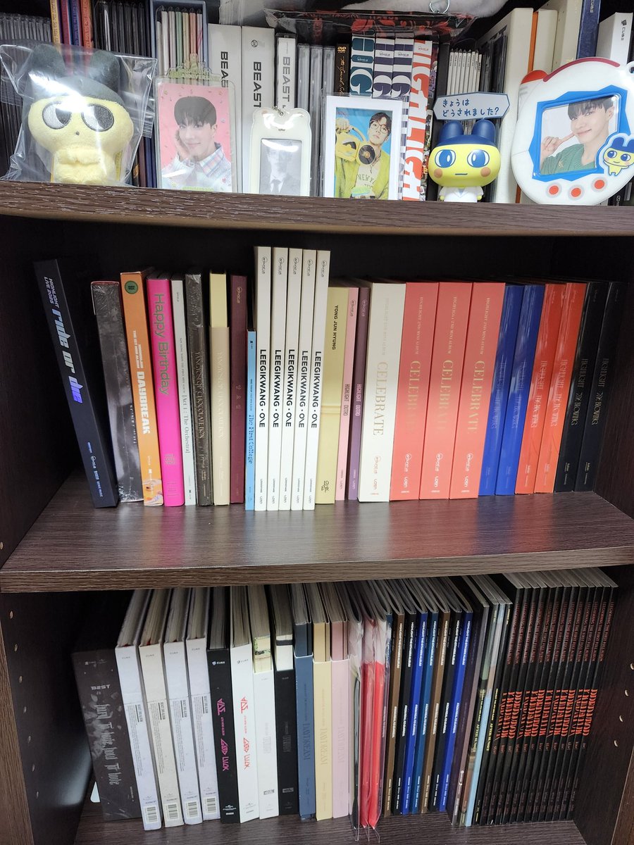 そして棚を増やしてもこれから買うアルバム入りそうになくて泣く。手前