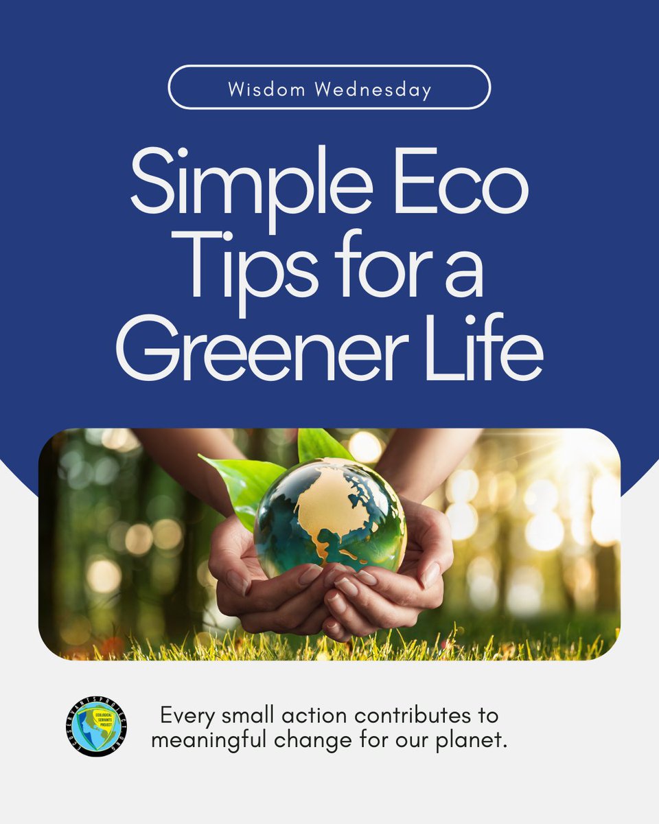 eco_servants's tweet photo. 🌱 Simple Eco Tips for a Greener Life 🌎

Small daily choices create powerful environmental impact. 

Here are three easy ways to make a difference today:

🚫 Reduce Plastic Use
Choose reusable bags, bottles, and containers whenever possible. Cutting down single-use plastics helps protect oceans, wildlife, and prevents microplastic pollution from entering our food chain.

💡 Reduce Energy at Home
Turn off lights, unplug unused electronics, and use energy-efficient appliances. Lower energy use reduces greenhouse gas emissions and conserves valuable natural resources.

🌳 Plant a Tree
Trees absorb carbon dioxide, support biodiversity, and help cool our communities. Even one tree can make a meaningful long-term impact.

✨ Simple habits. Real impact. Every action you take helps move us toward a cleaner, more sustainable future. https://t.co/yc6LJKljjb

#EcoServants #WisdomWednesday #EcoTips #SustainableLiving #ReducePlastic #EnergyEfficiency #ClimateAction #ProtectOurPlanet