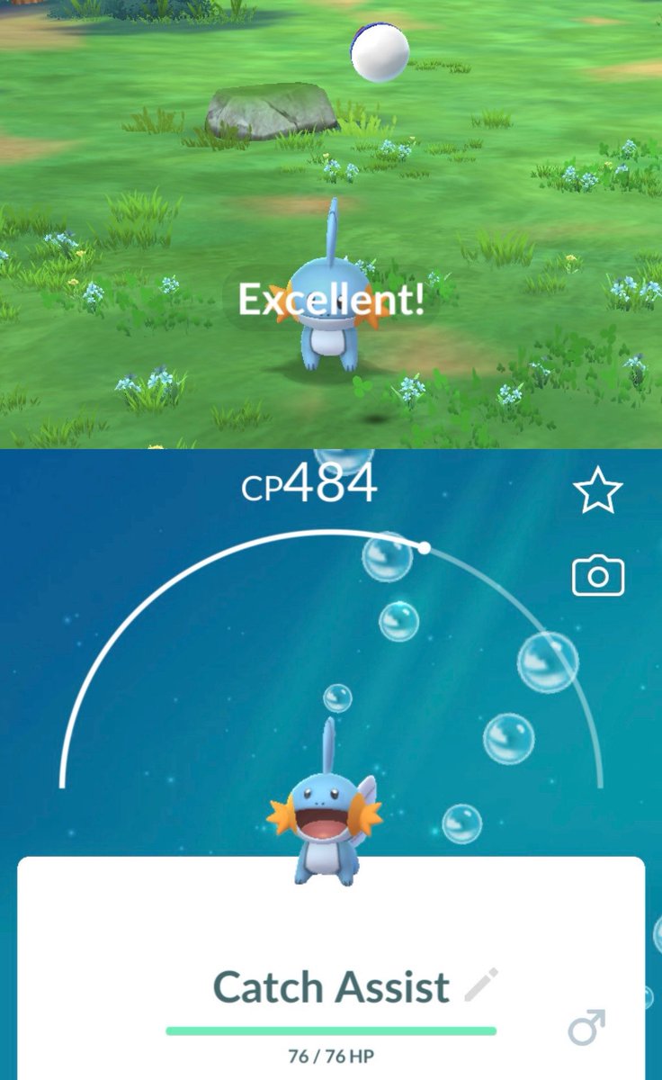 FairlyOddRadish's tweet image. My #MetapodBuddy assisted in getting #ExcellentThrows on three #Pokemon in a row 🥳
He may be weak and have a CP of 10, but he’s the best and I got him some treats at #Publix.
#Metapod #ExcellentThrow #PokemonGO
The Pokémon that I caught had lousy stats so I let them “GO” 🤭