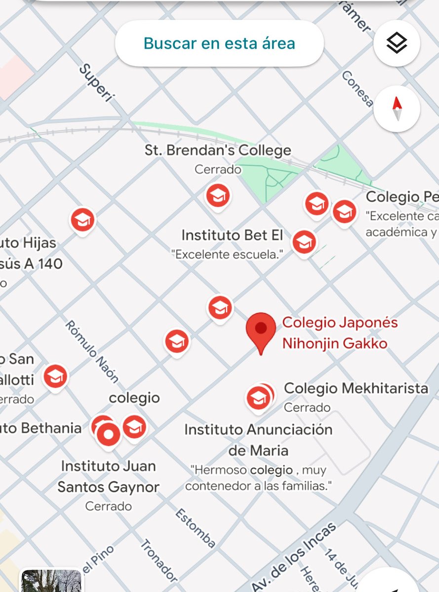 Fuxia Carrington tweet media