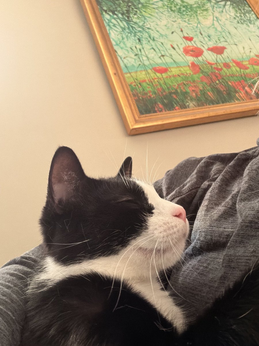 ChicagoPatty tweet media