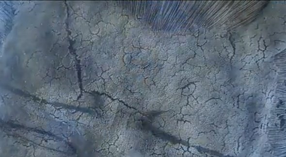 vih𖹭.ᐟ 📖: dtbpf tweet media