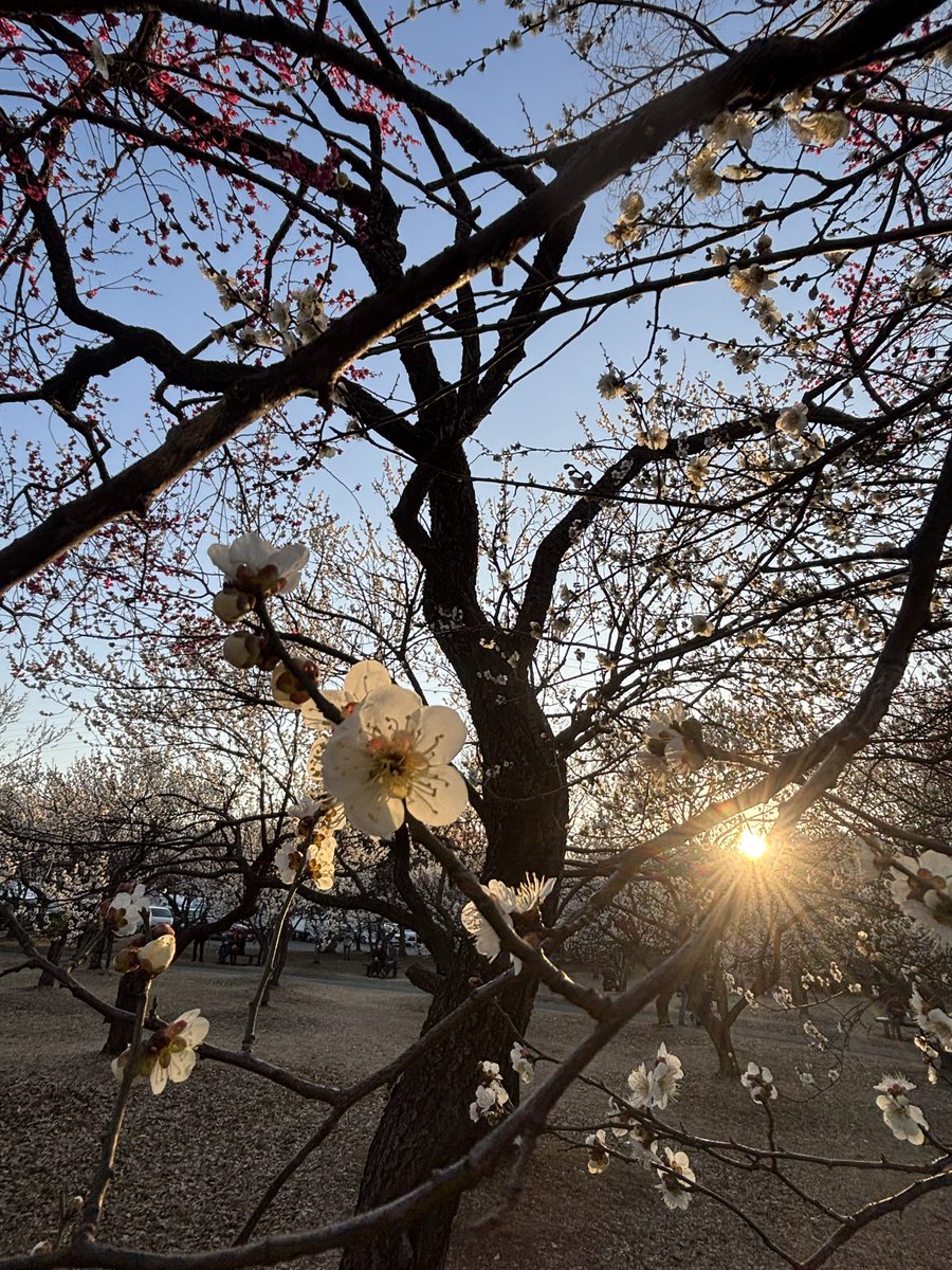 Nao☆゜ tweet media