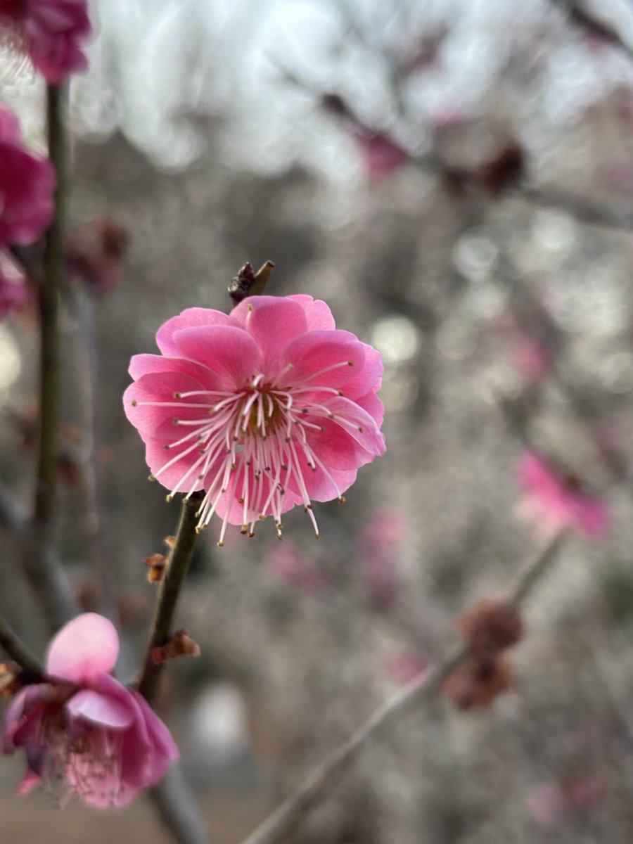 Nao☆゜ tweet media