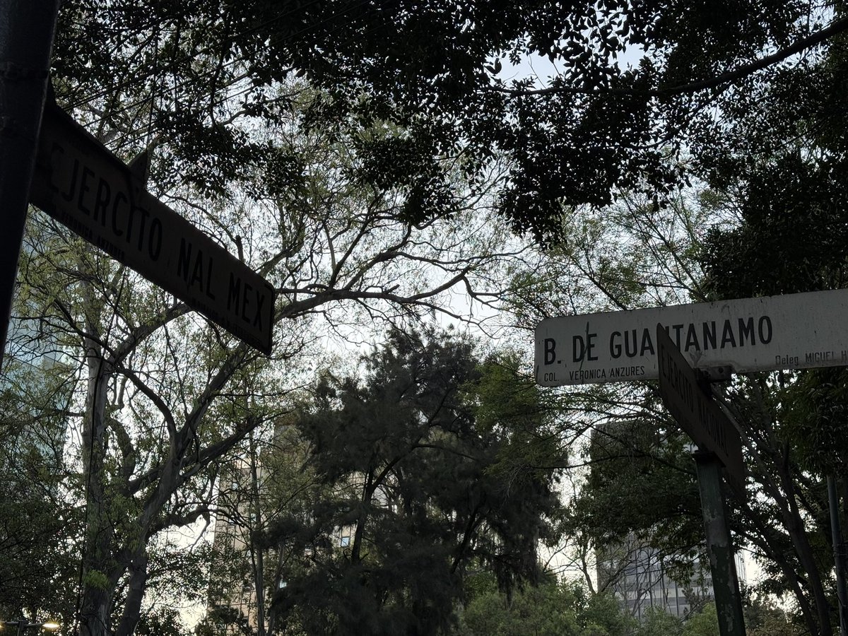 Orden de Guadalupe tweet media