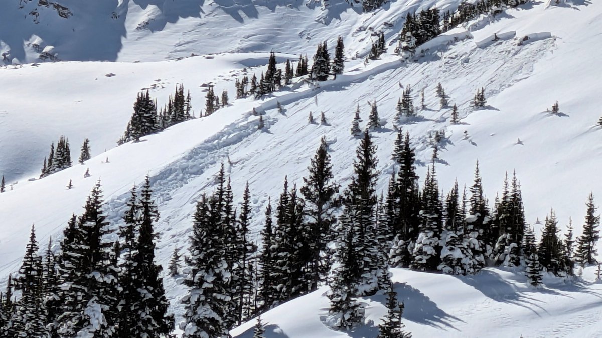 CAIC:Statewide Info tweet media