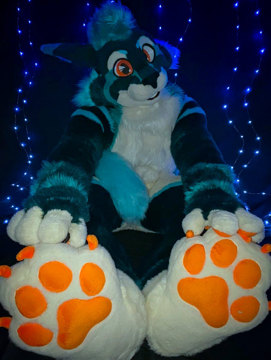 Athy / June Cabbit TFF-LVFC tweet media