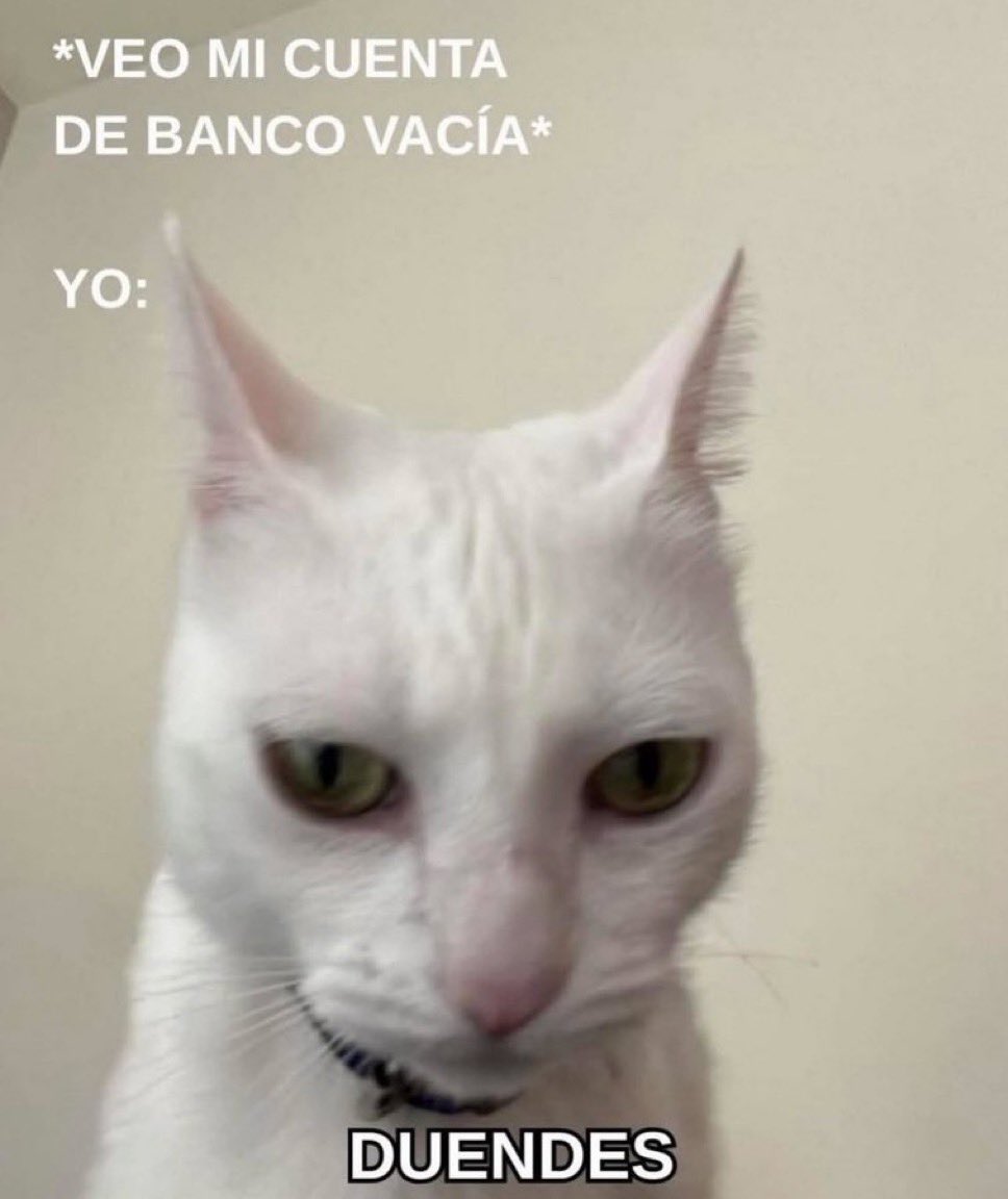 🌙 mini textos tweet media