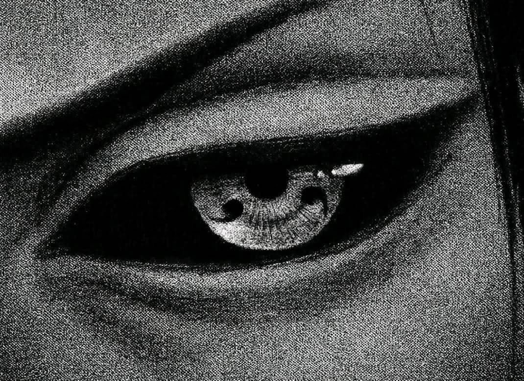 To be reborn, you must let yourself burn.