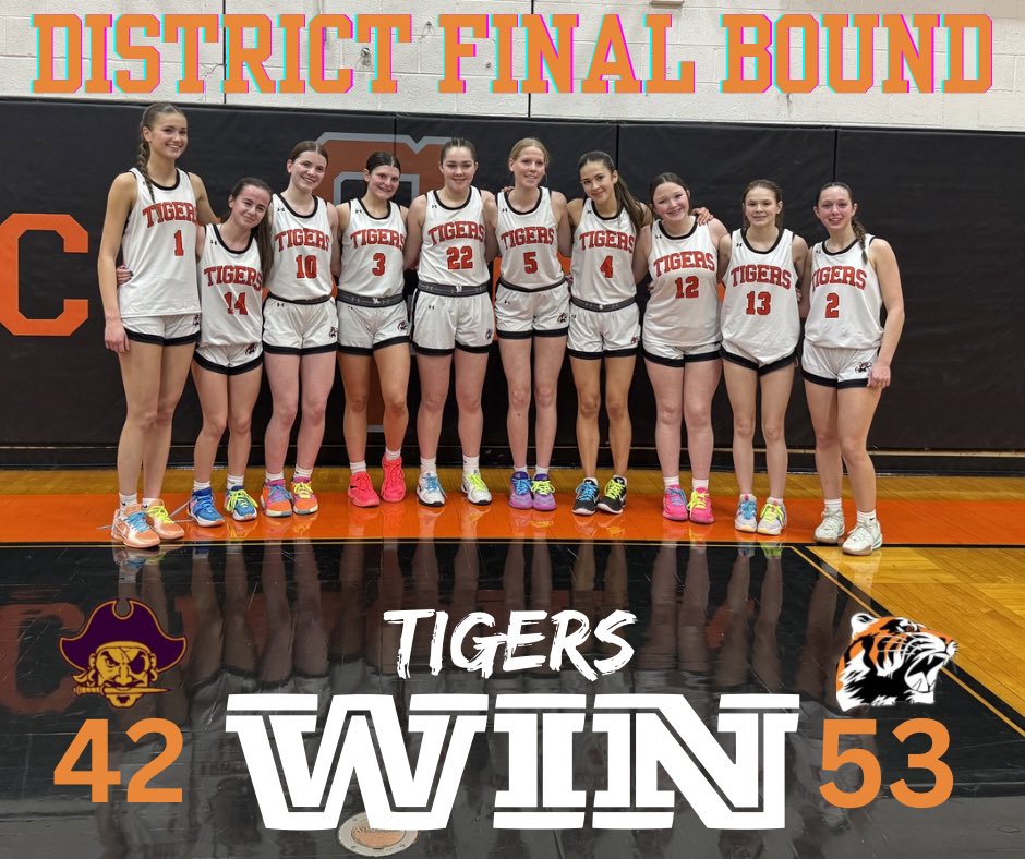 GoLadyTigers tweet media