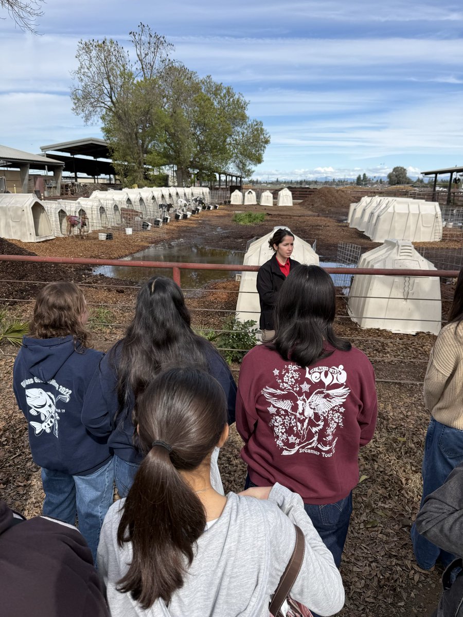 SUMMIT COLLEGIATE HIGH SCHOOL tweet media