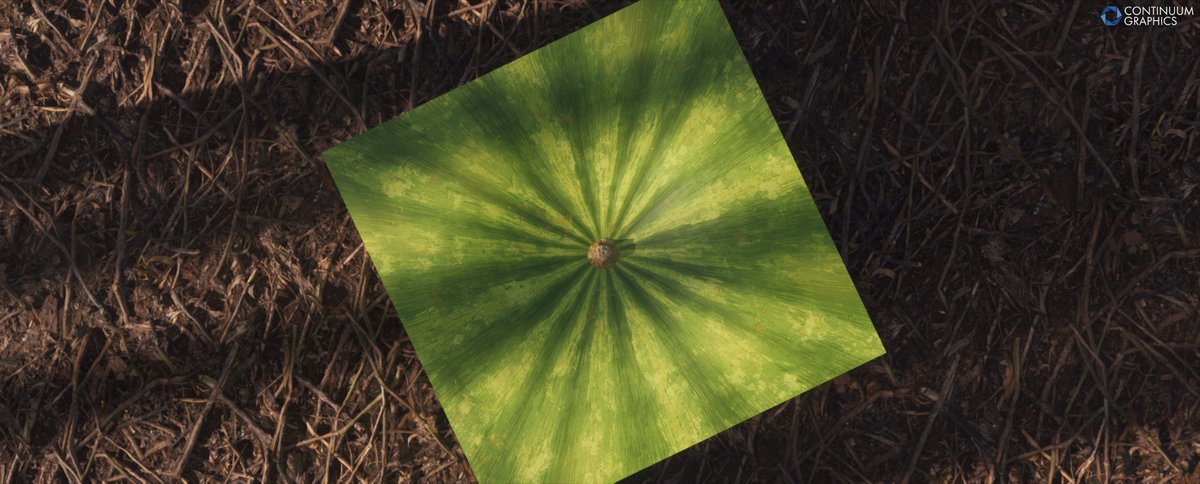 Continuum Graphics LLC. tweet media