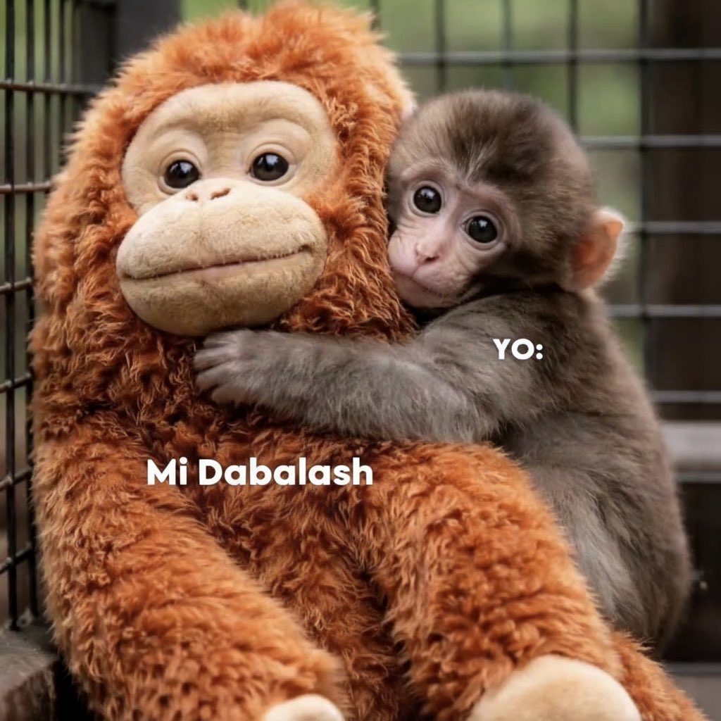 dabalash's tweet image. Abracemos todo lo que nos hace sentir más seguras y fuertes 💖🥹

Punch nos enseñó el valor de un abrazo 🥰 

#Punch #DabalashSiempreContigo #Lashes #Viral