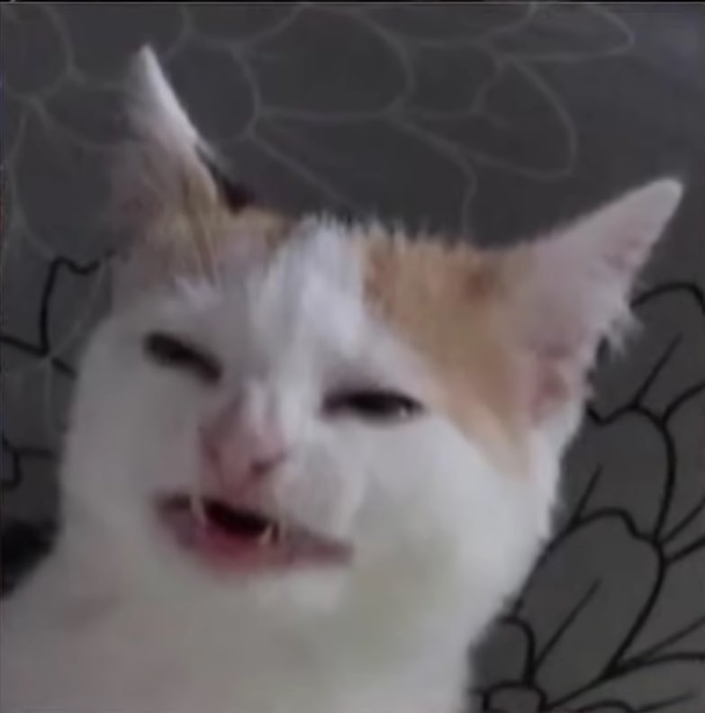 AWildEThot's tweet photo. @lynxsisblack Can i bite him? https://t.co/a8u2XQLfWf