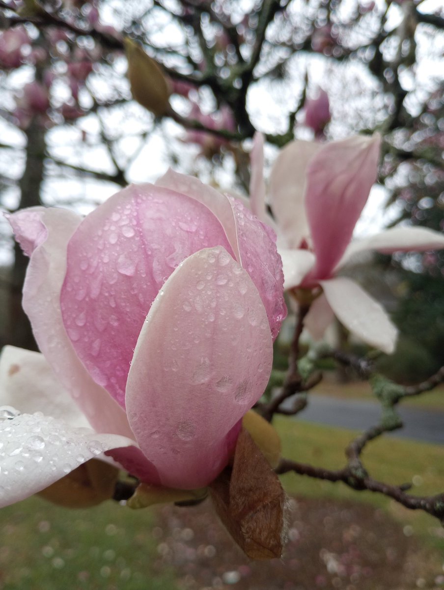 ๐ถ๐๐กโ๐๐๐๐๐ ๐'๐ต๐๐๐๐ tweet media