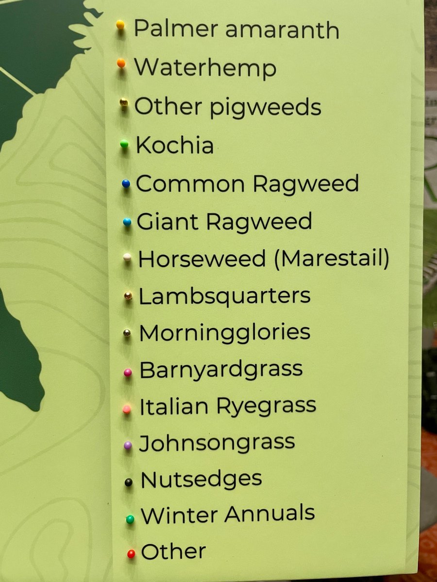 GROW.IWM tweet media