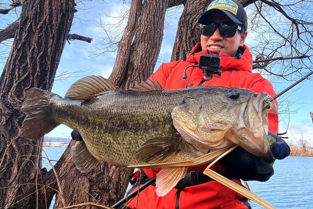 megabass_jp's tweet photo. 【Megabass blog】真冬のデットスローメソッド
スタッフ 澤田 祥汰
https://t.co/pN5fSfusWM
#YukiIto #メガバス #SparkShad https://t.co/furewRvKFJ