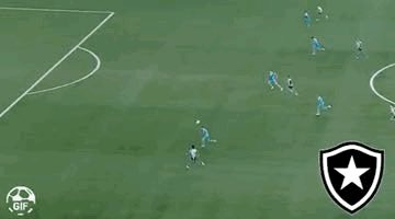 Veja o primeiro gol do Botafogo na libertadores