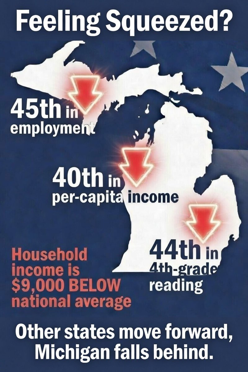 Senator Lana Theis tweet media