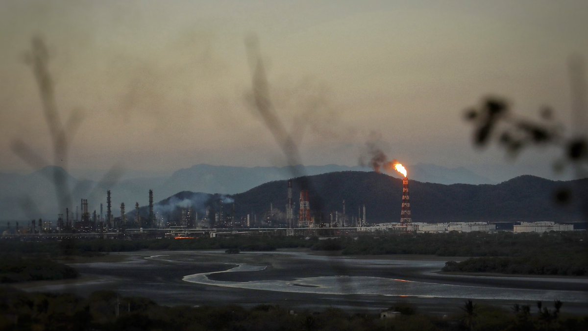 Carolina Jiménez tweet media