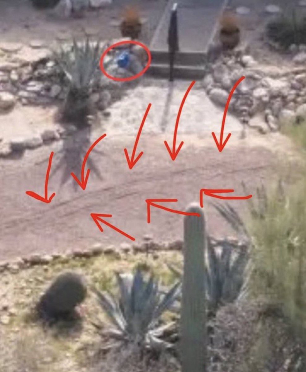 ⓒʜɪʟʟɪɴᴏɪꜱ tweet media