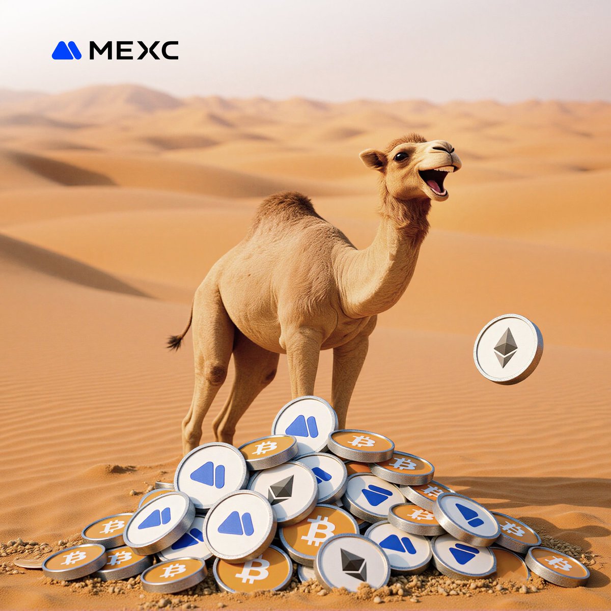 MEXC tweet media