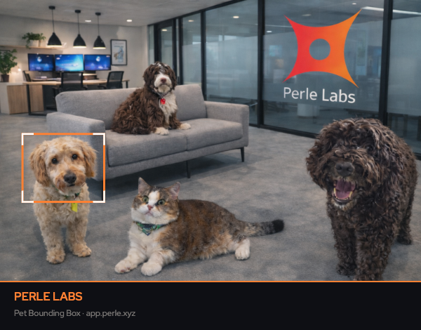 Perle Labs tweet media