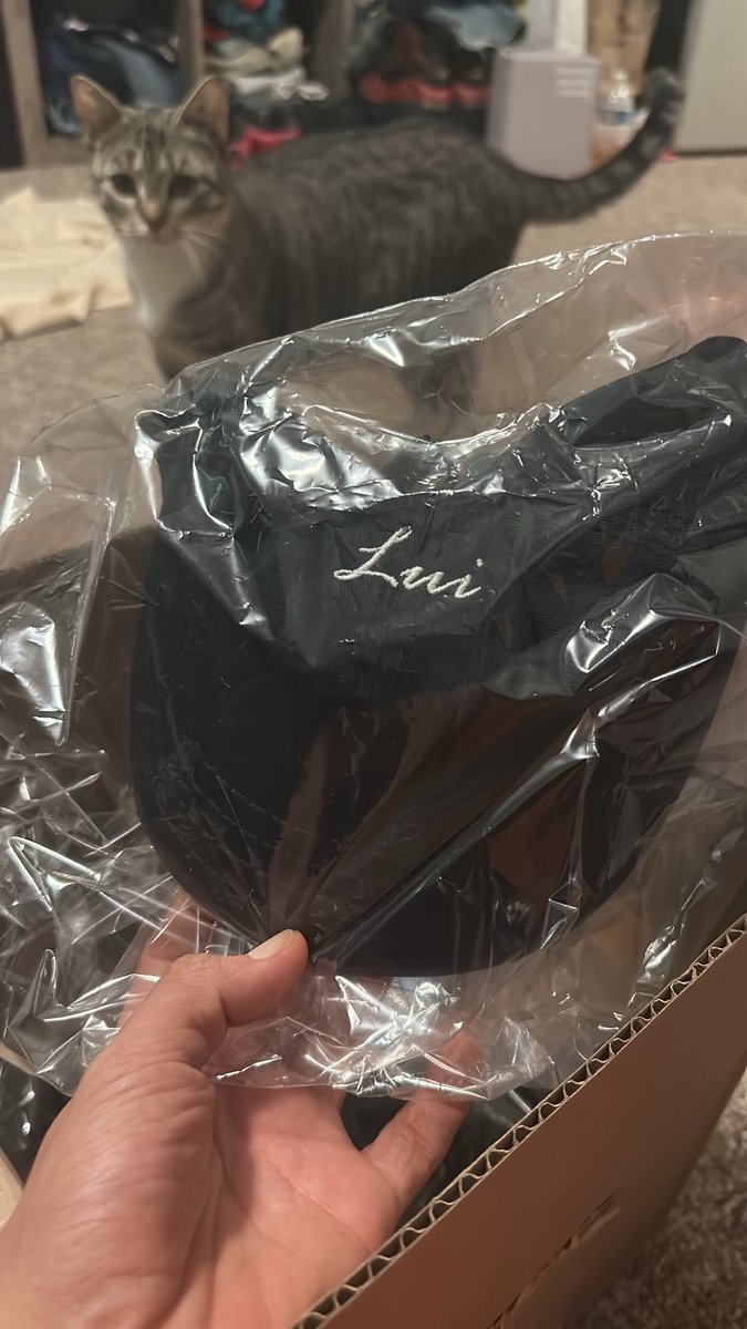 Cryptogodlui's tweet image. As we approach the warmer season, I’ve noticed the #LUI dad Hat becomes more popular 💚🧢 

Thank you to those who believe - Shipping some this week ✈️